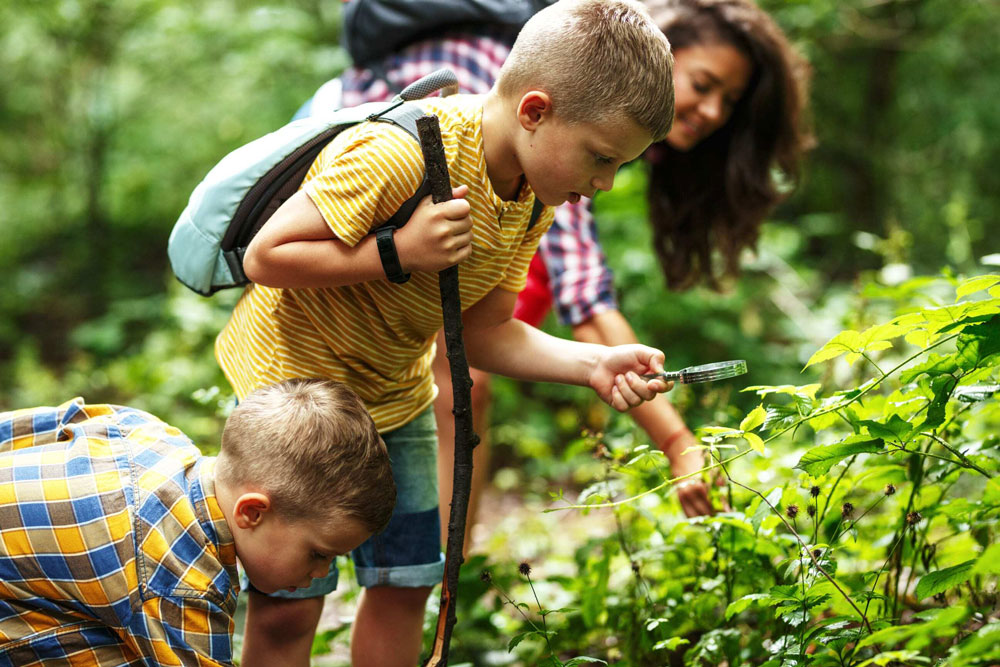 little boys looking at leaves with woman